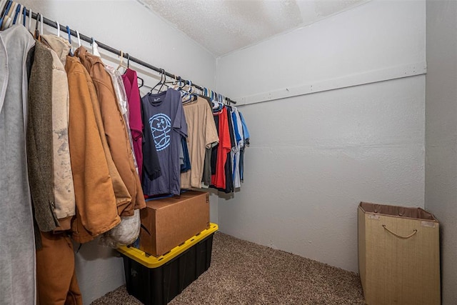 walk in closet with carpet