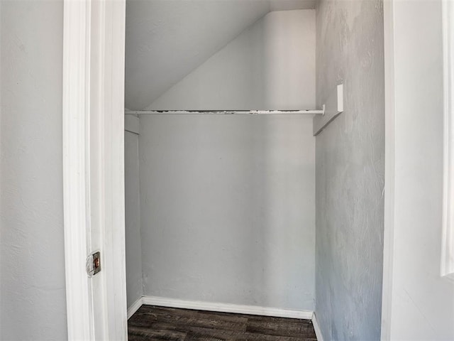 spacious closet with hardwood / wood-style flooring