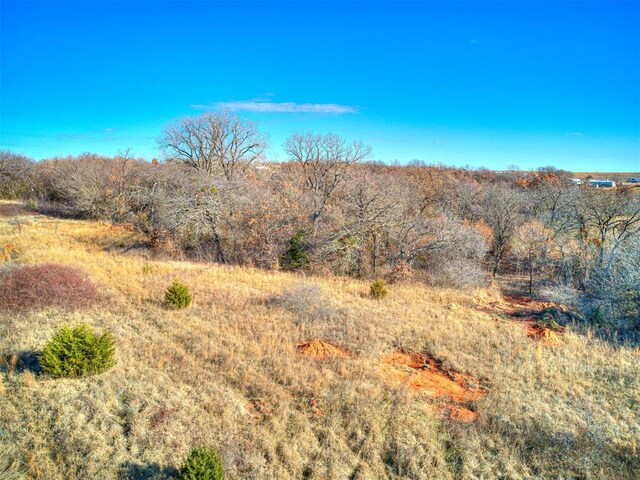 Live Oaks Dr, Blanchard, OK 73031 - photo 20