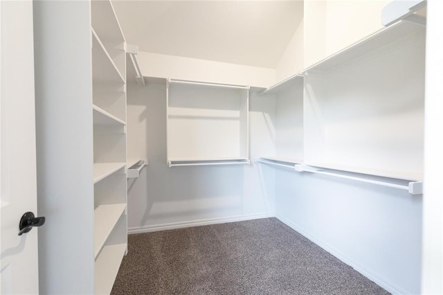 1817 Taines Turn, Norman, OK 73072 - spacious closet with carpet