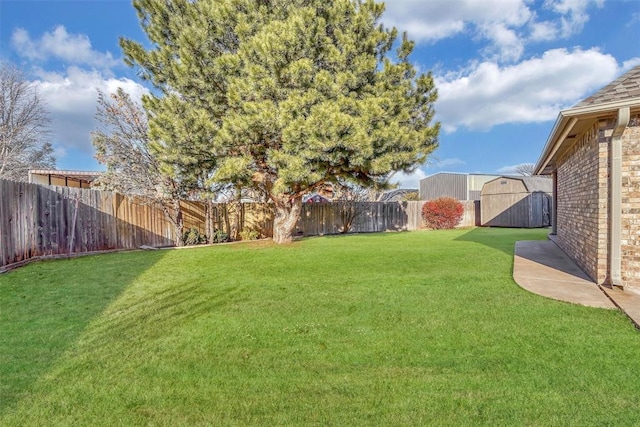 view of yard featuring a shed