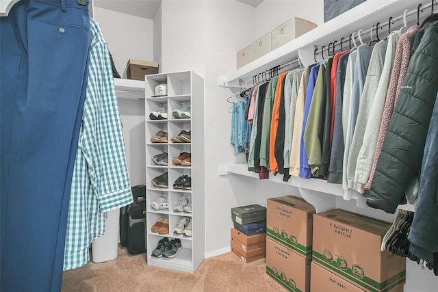 walk in closet with light carpet