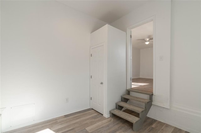 stairs with ceiling fan and hardwood / wood-style flooring