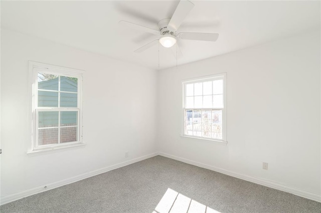 spare room with carpet floors and a wealth of natural light