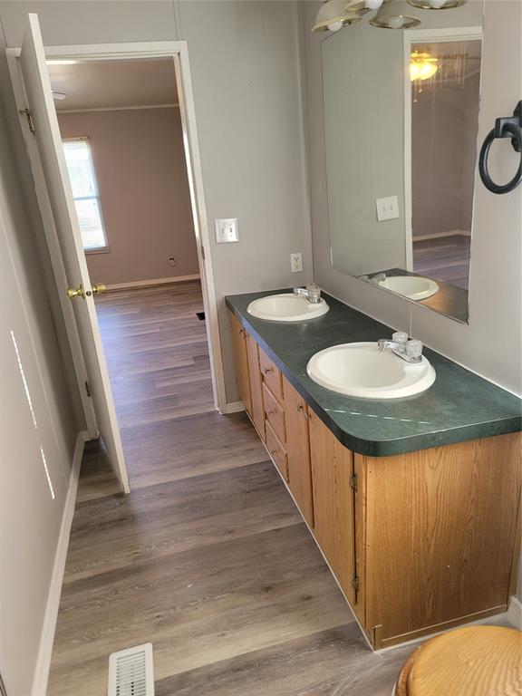 bathroom featuring hardwood / wood-style flooring and vanity