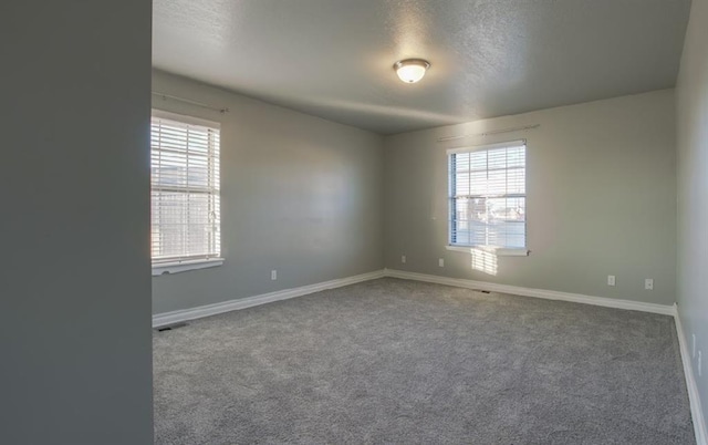 carpeted spare room with a healthy amount of sunlight