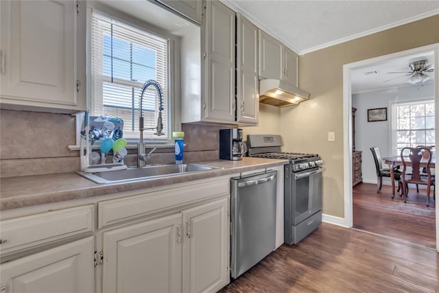 kitchen with plenty of natural light, dark hardwood / wood-style floors, sink, and stainless steel appliances