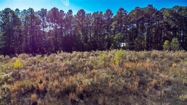 334 Bent Oak Trl, Broken Bow, OK 74728