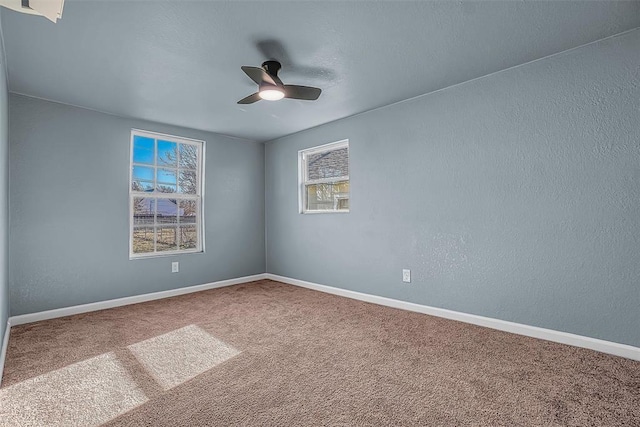 empty room featuring ceiling fan and carpet floors