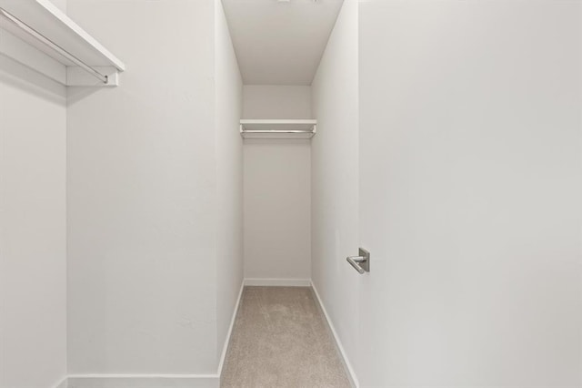 walk in closet featuring light colored carpet