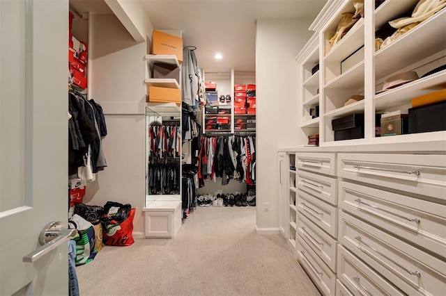 spacious closet featuring light carpet