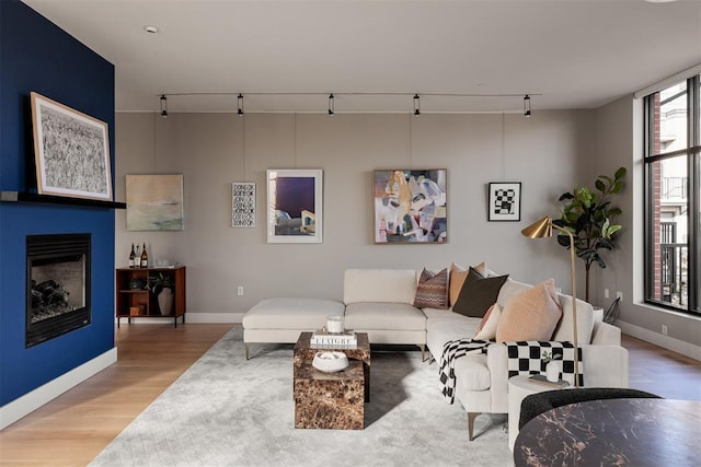 living room with track lighting and light hardwood / wood-style flooring