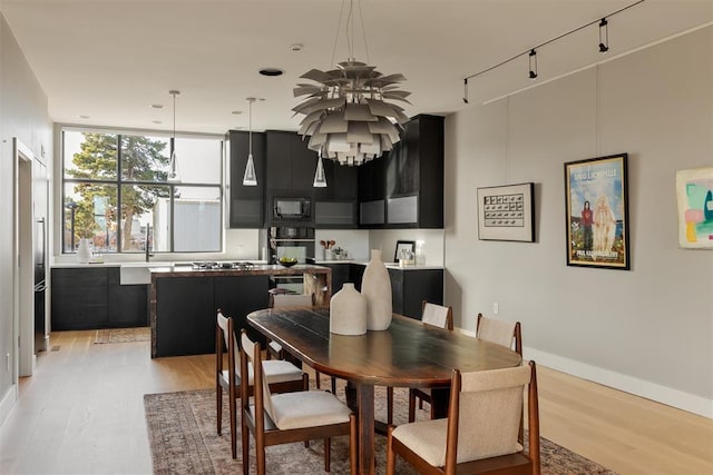 dining space featuring light hardwood / wood-style floors