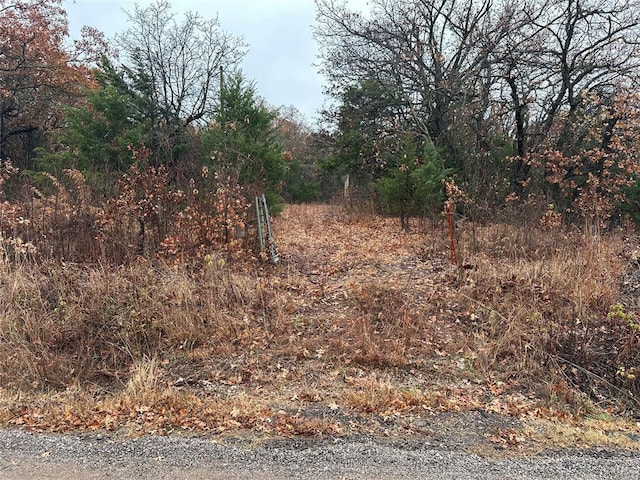 19900 Danny Ln, Luther OK, 73054 land for sale