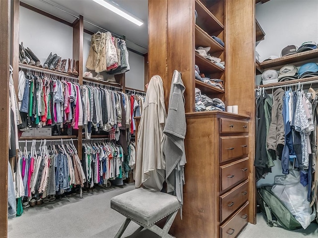 spacious closet with light carpet