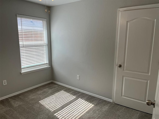 empty room featuring carpet floors