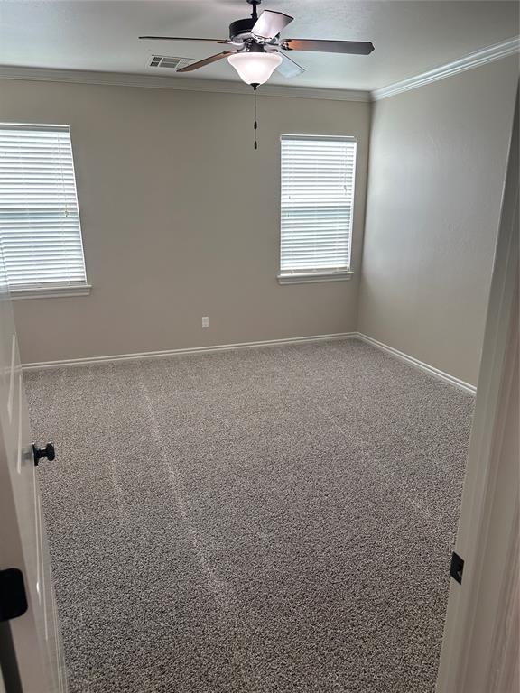 spare room featuring carpet flooring, ornamental molding, ceiling fan, and a healthy amount of sunlight