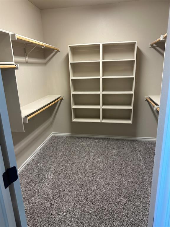 spacious closet featuring carpet floors