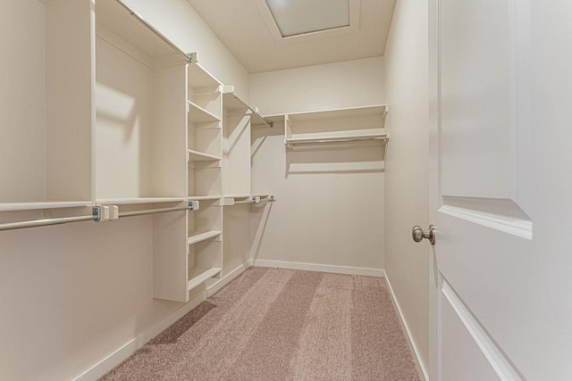 spacious closet featuring carpet floors