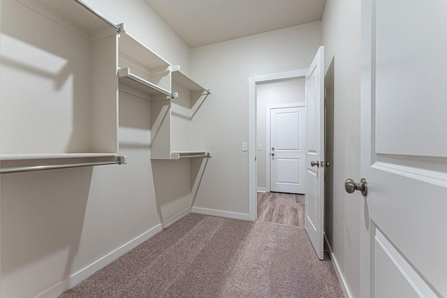 spacious closet with light carpet