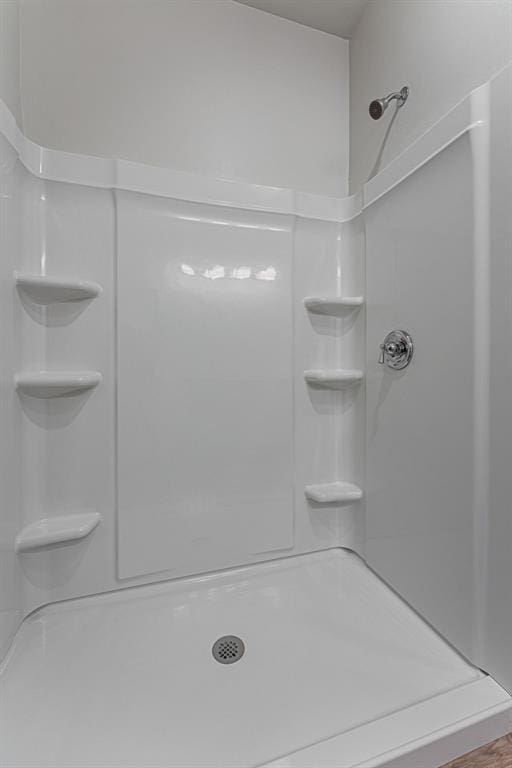 bathroom featuring walk in shower