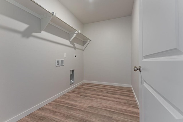 clothes washing area featuring electric dryer hookup, light hardwood / wood-style floors, and washer hookup