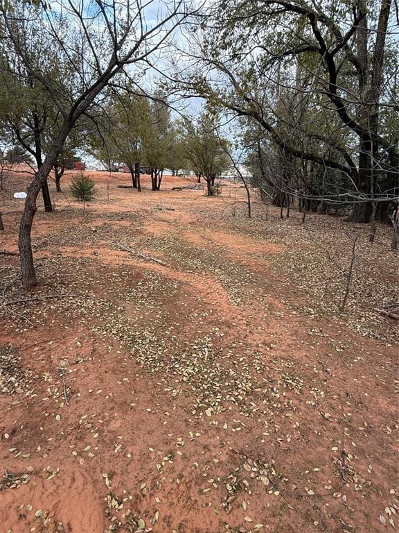 view of yard with a rural view