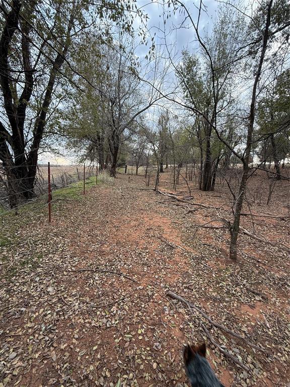 view of yard with a rural view