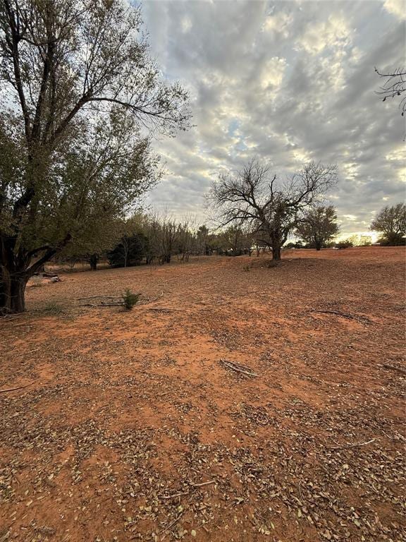 view of yard featuring a rural view