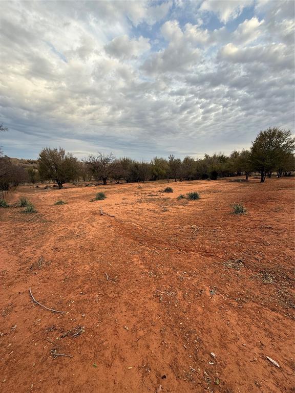 view of local wilderness with a rural view