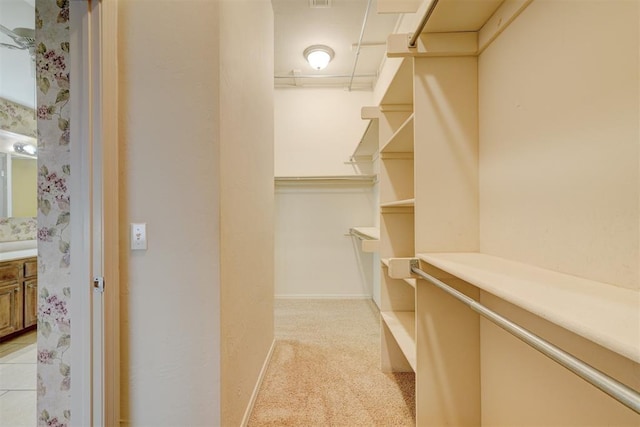 walk in closet featuring light colored carpet