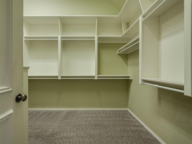 walk in closet with carpet floors