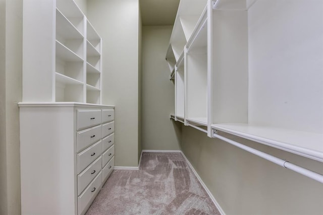 spacious closet with light carpet