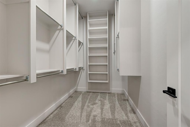 spacious closet featuring light colored carpet