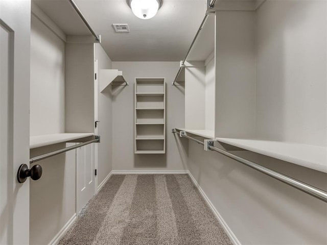 spacious closet featuring carpet flooring