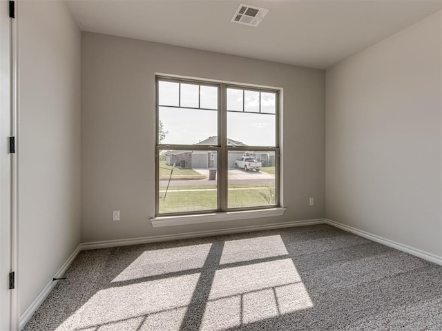 carpeted spare room with a wealth of natural light