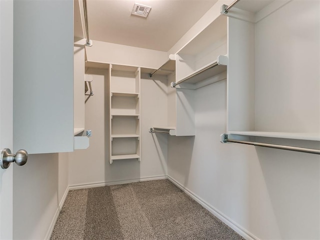 spacious closet featuring carpet floors