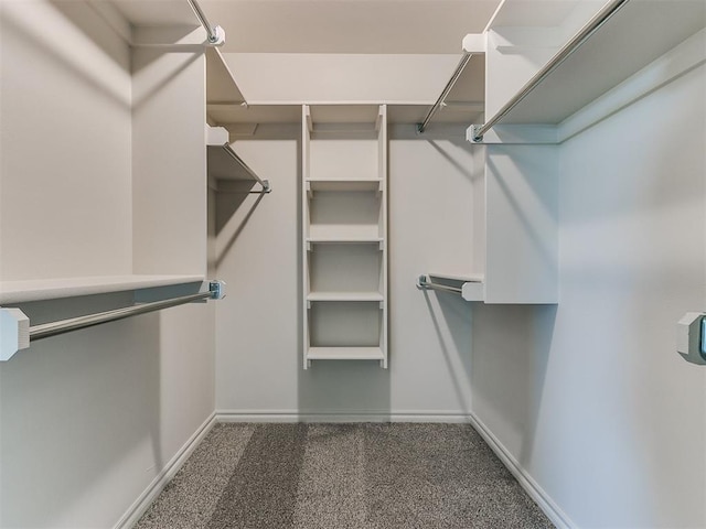 spacious closet featuring dark colored carpet