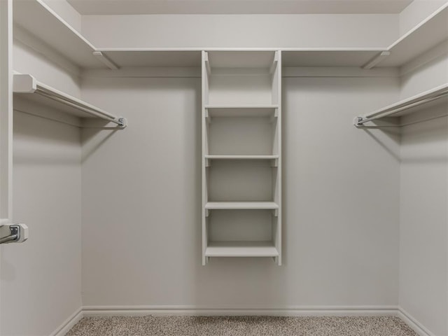 walk in closet featuring light carpet