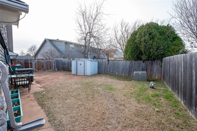 view of yard with a storage shed