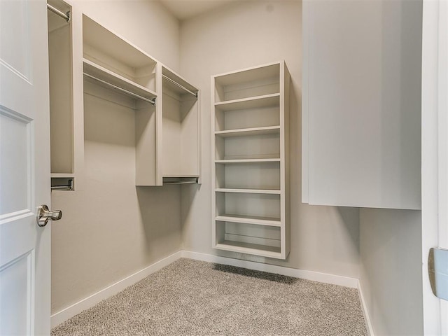 walk in closet featuring light colored carpet