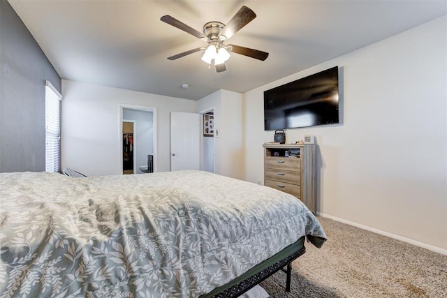 carpeted bedroom featuring a walk in closet, a ceiling fan, and baseboards