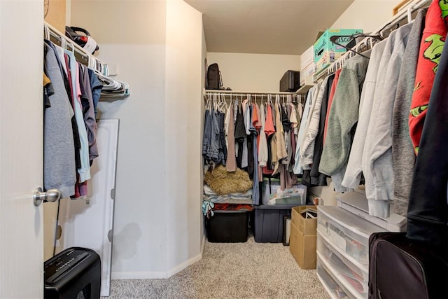 walk in closet with carpet