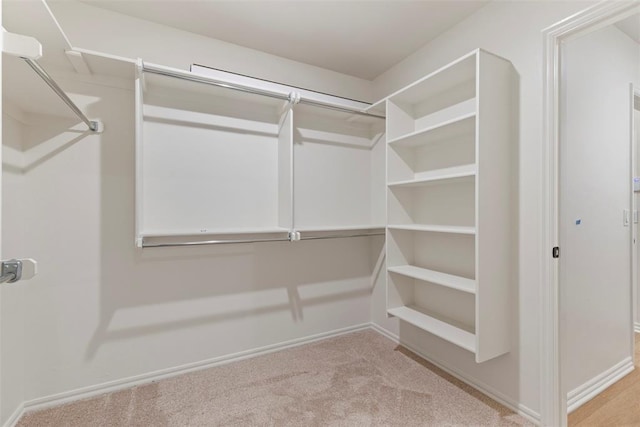 spacious closet featuring light colored carpet