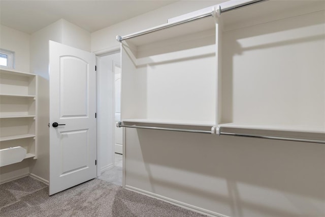 walk in closet featuring carpet flooring