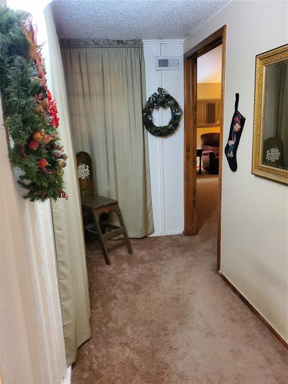 hall with carpet flooring and a textured ceiling