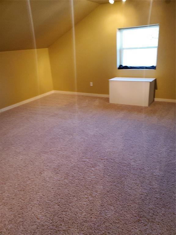 additional living space featuring carpet and lofted ceiling