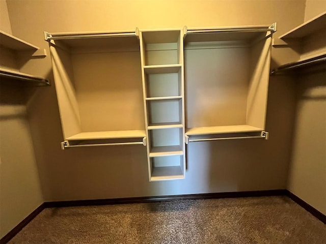 walk in closet featuring carpet floors