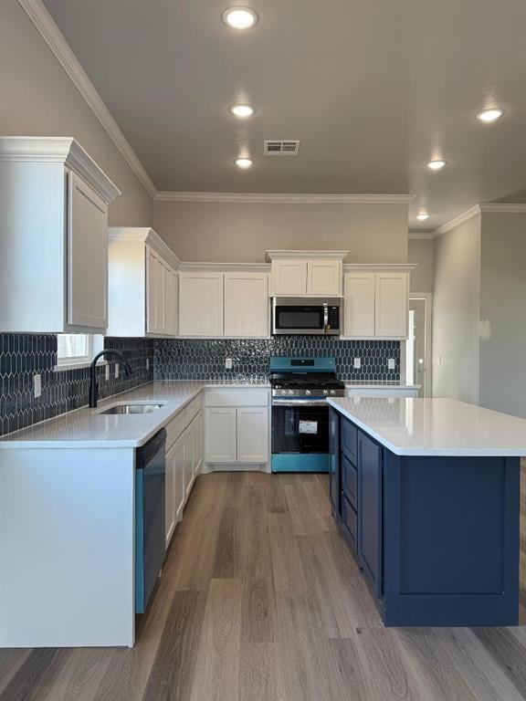 kitchen with white cabinetry, stainless steel appliances, blue cabinets, and a sink