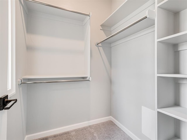 walk in closet with carpet floors